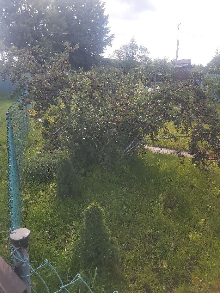Działka rod Czarna Białostocka, ul. Wiosenna. Zdjęcie 4