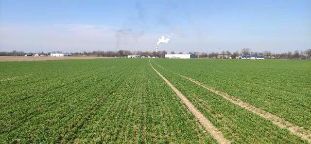 Działka rolno-budowlana Płock Trzepowo, ul. Bielska. Zdjęcie 10