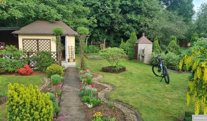 Działka rod Legnica, ul. Ogrodowa