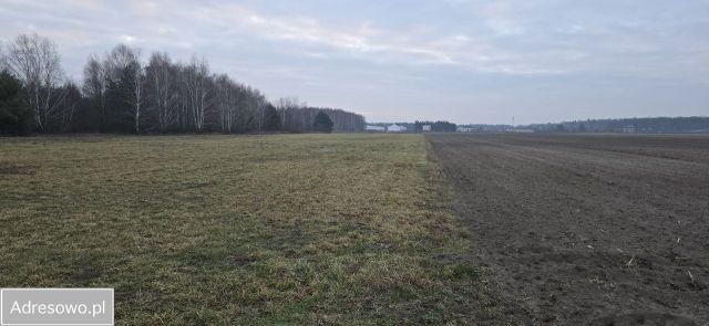 Działka inwestycyjna Serock. Zdjęcie 1