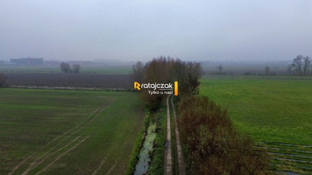 Działka budowlana Drewnica, ul. Wierzbowa. Zdjęcie 5