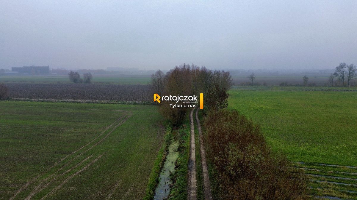 Działka budowlana Drewnica, ul. Wierzbowa. Zdjęcie 5