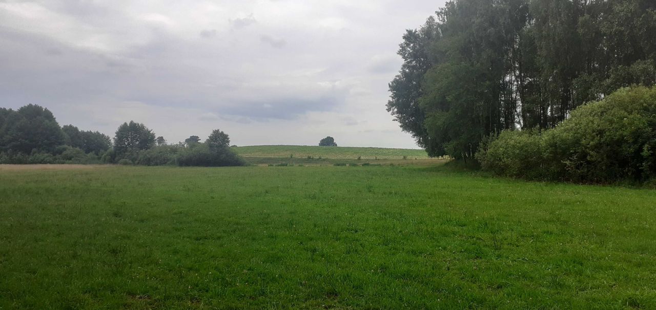 Działka rolna Zielona Góra. Zdjęcie 5