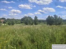 Działka rolna Piłaki Wielkie. Zdjęcie 1