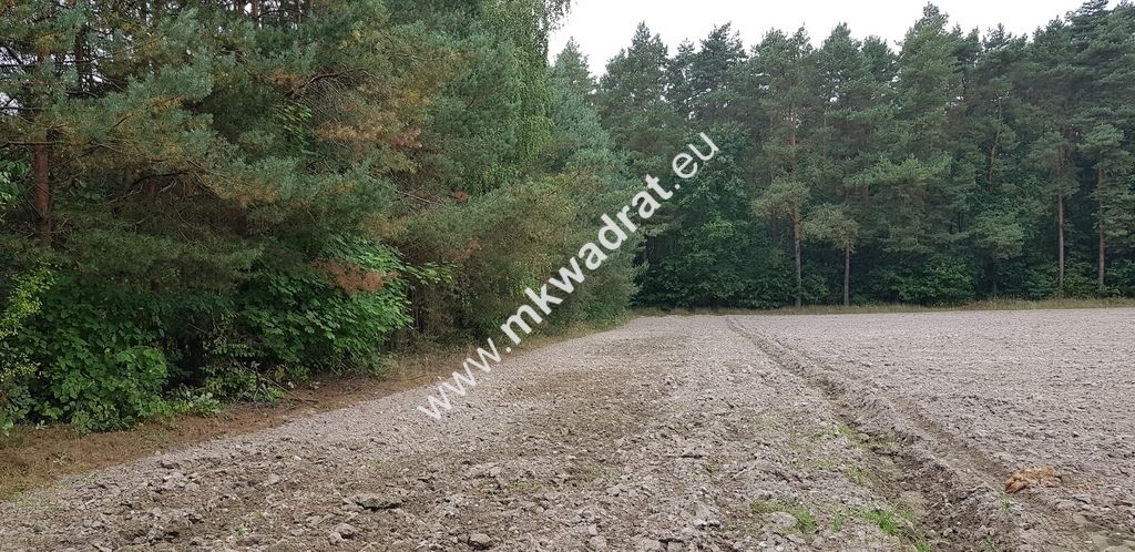 Działka Budy Wolskie. Zdjęcie 6