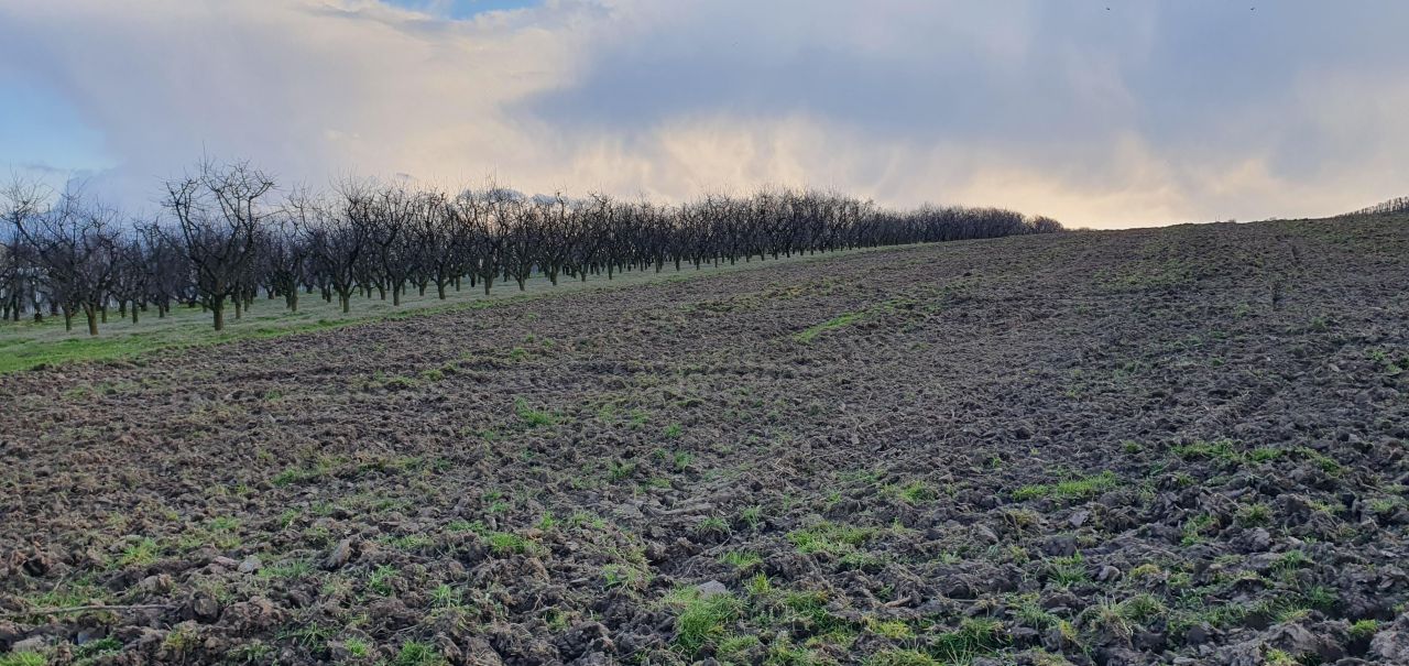 Działka rolna Samborzec, Polanów. Zdjęcie 5