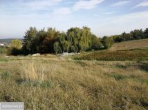 Działka budowlana Żerkowice, ul. Pod Sosną. Zdjęcie 1