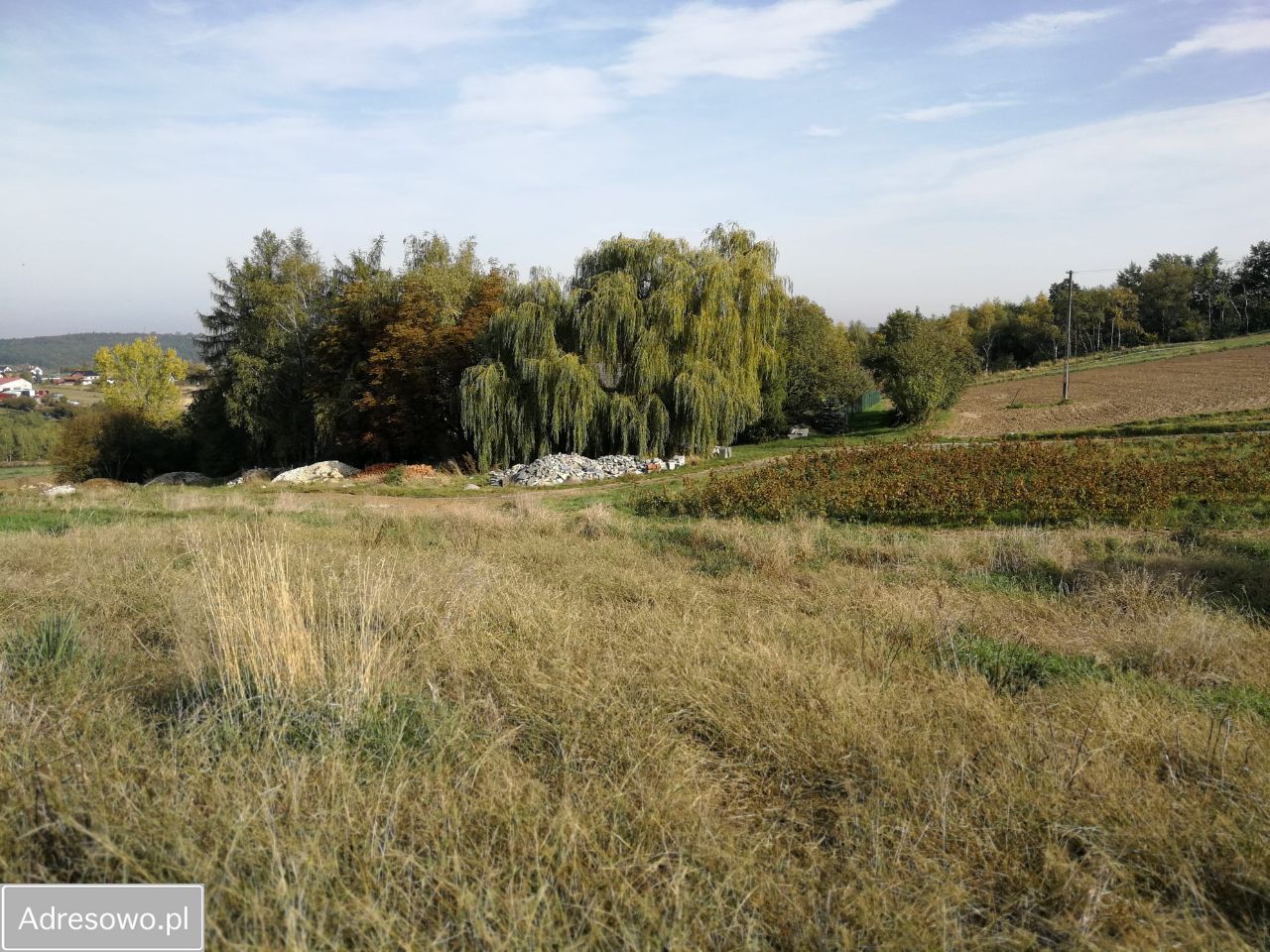 Działka budowlana Żerkowice, ul. Pod Sosną. Zdjęcie 2