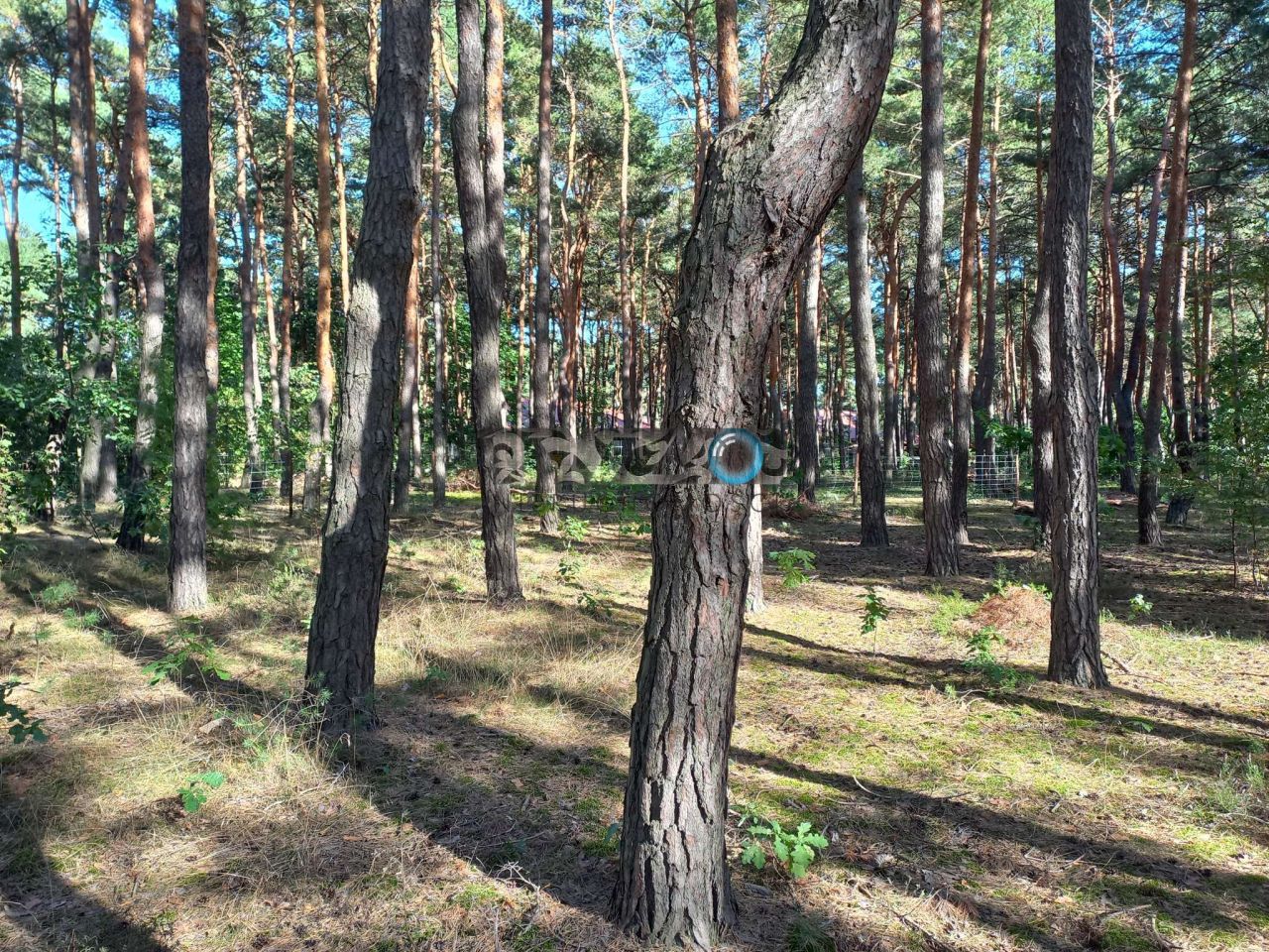 Działka budowlana Józefów. Zdjęcie 3