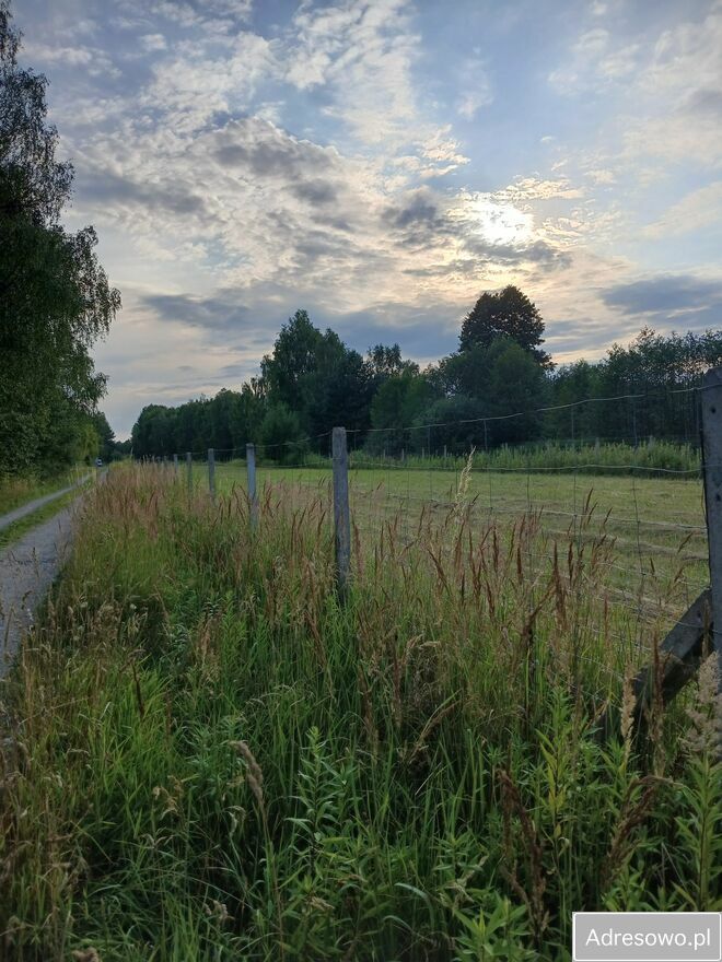 Działka budowlana Chojnów. Zdjęcie 8