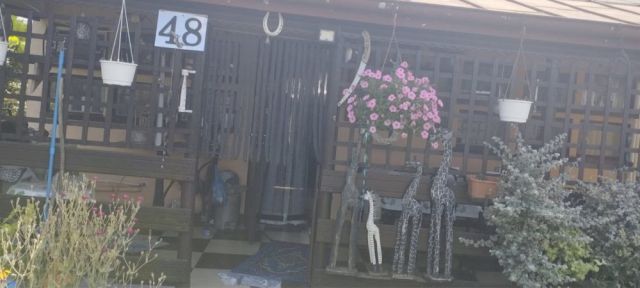 Działka rod Zduńska Wola, ul. Klonowa. Zdjęcie 1