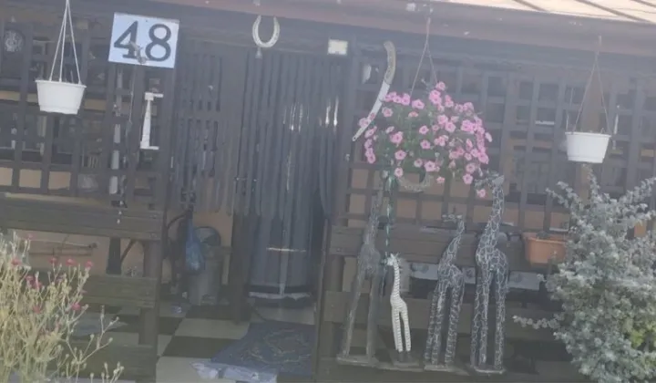 Działka rod Zduńska Wola, ul. Klonowa