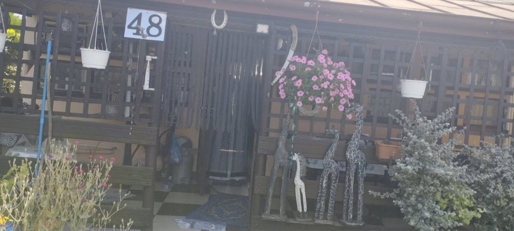 Działka rod Zduńska Wola, ul. Klonowa