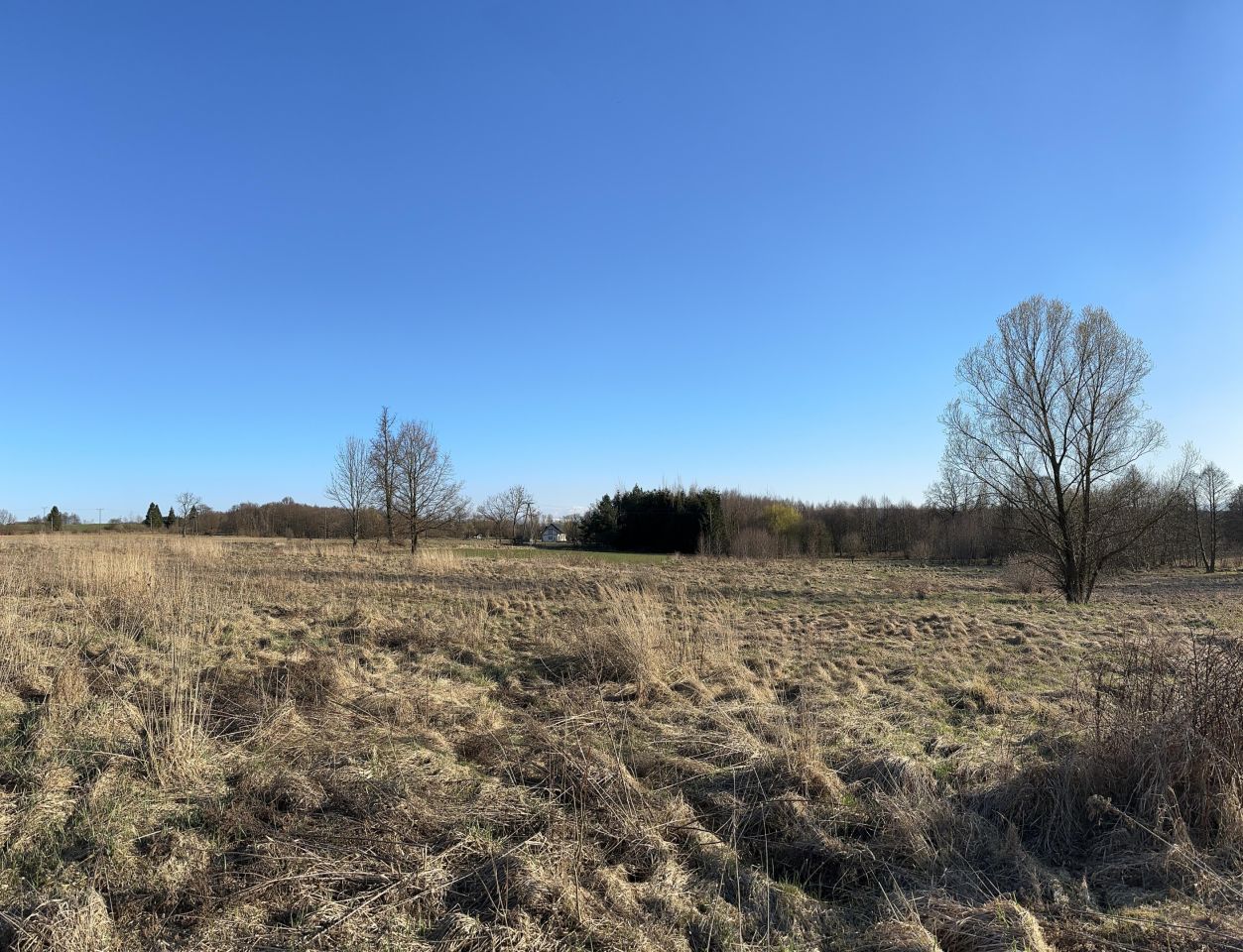 Działka budowlana Młyńsko. Zdjęcie 14