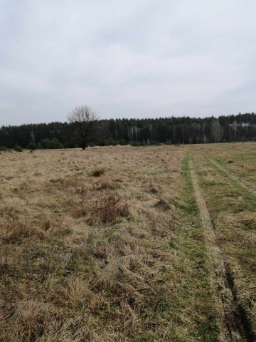 Działka budowlana Porządzie Porządzie-Kolonia. Zdjęcie 7