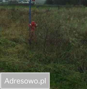 Działka budowlana Radzewo, ul. Gwiezdna. Zdjęcie 6