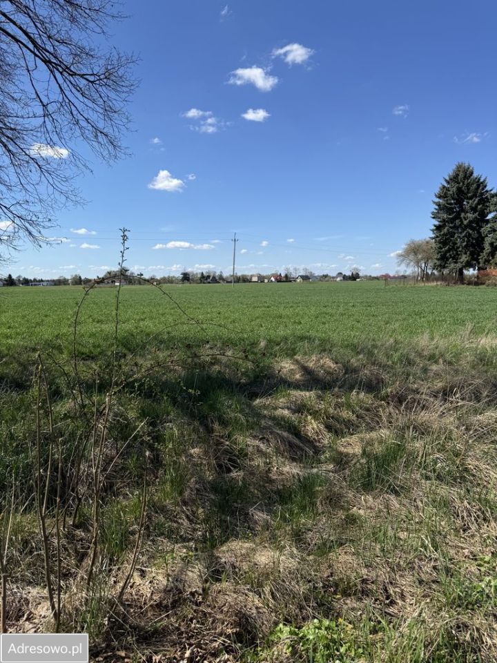 Działka rolna Wola Zabierzowska. Zdjęcie 4