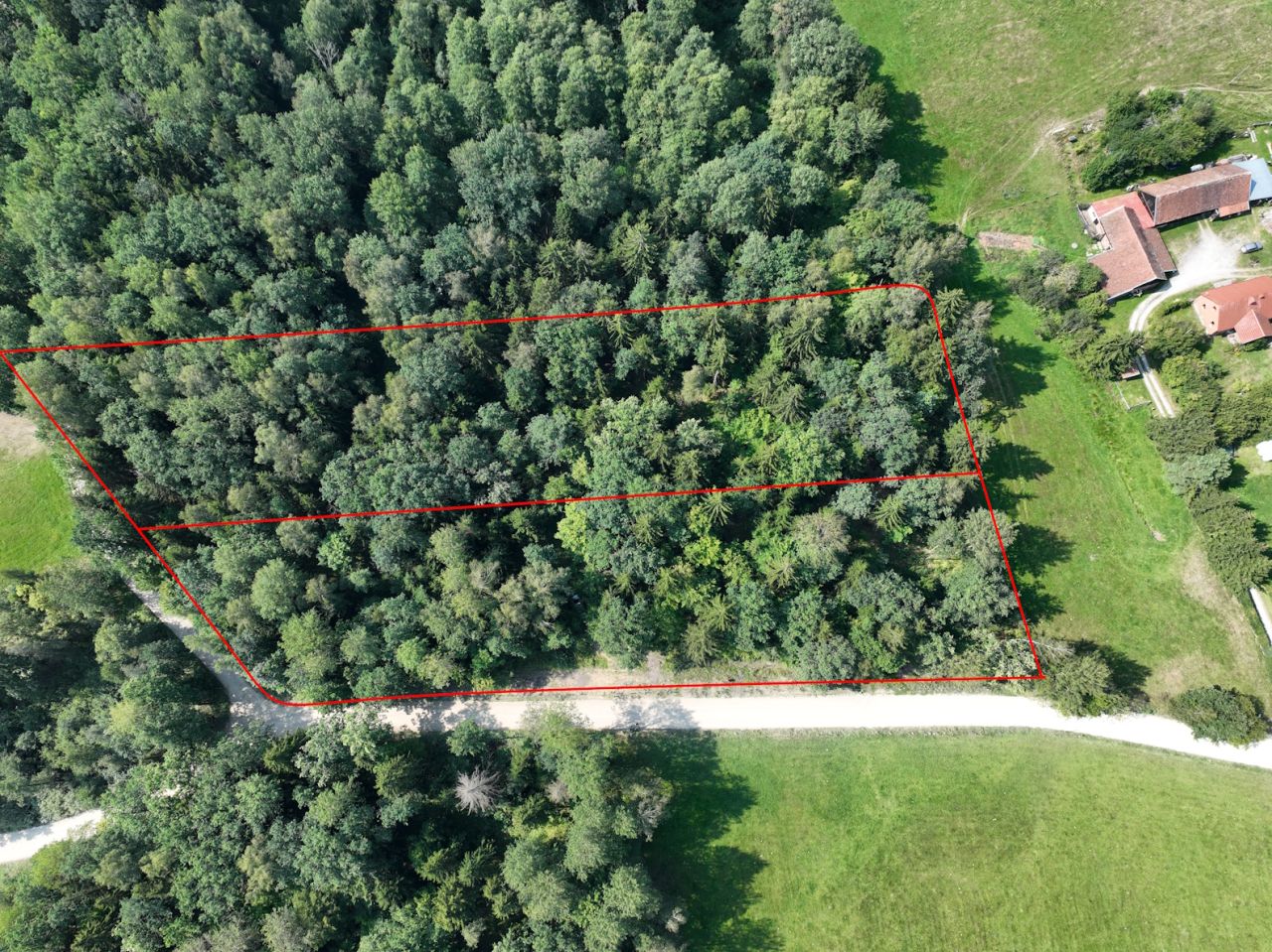 Działka leśna Trygort. Zdjęcie 5