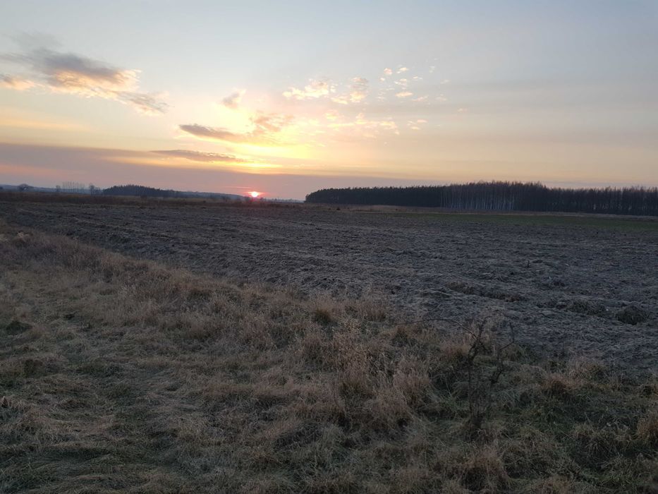 Działka budowlana Guzów. Zdjęcie 4