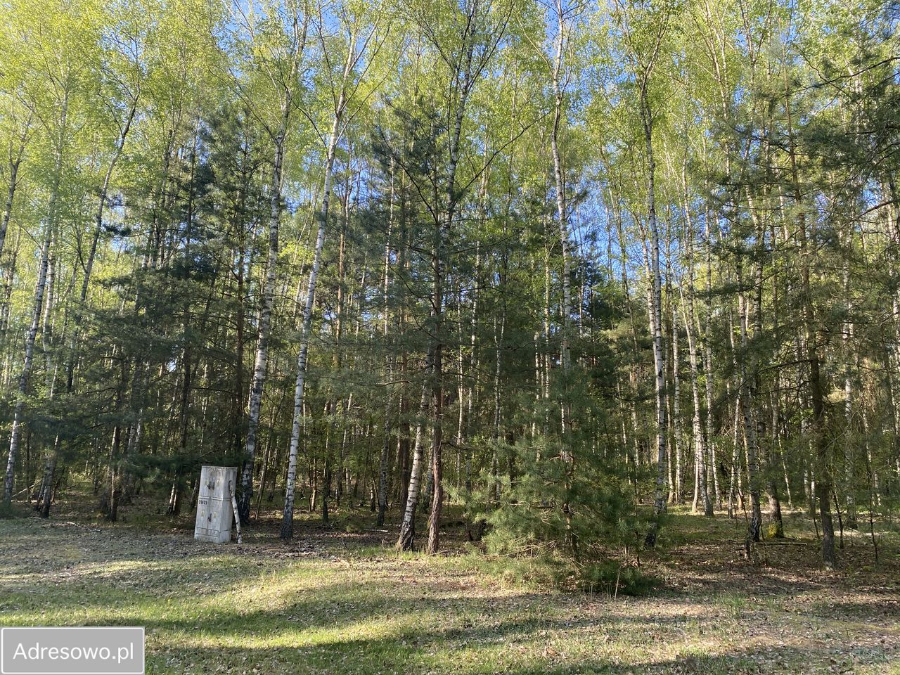 Działka budowlana Skórka. Zdjęcie 10