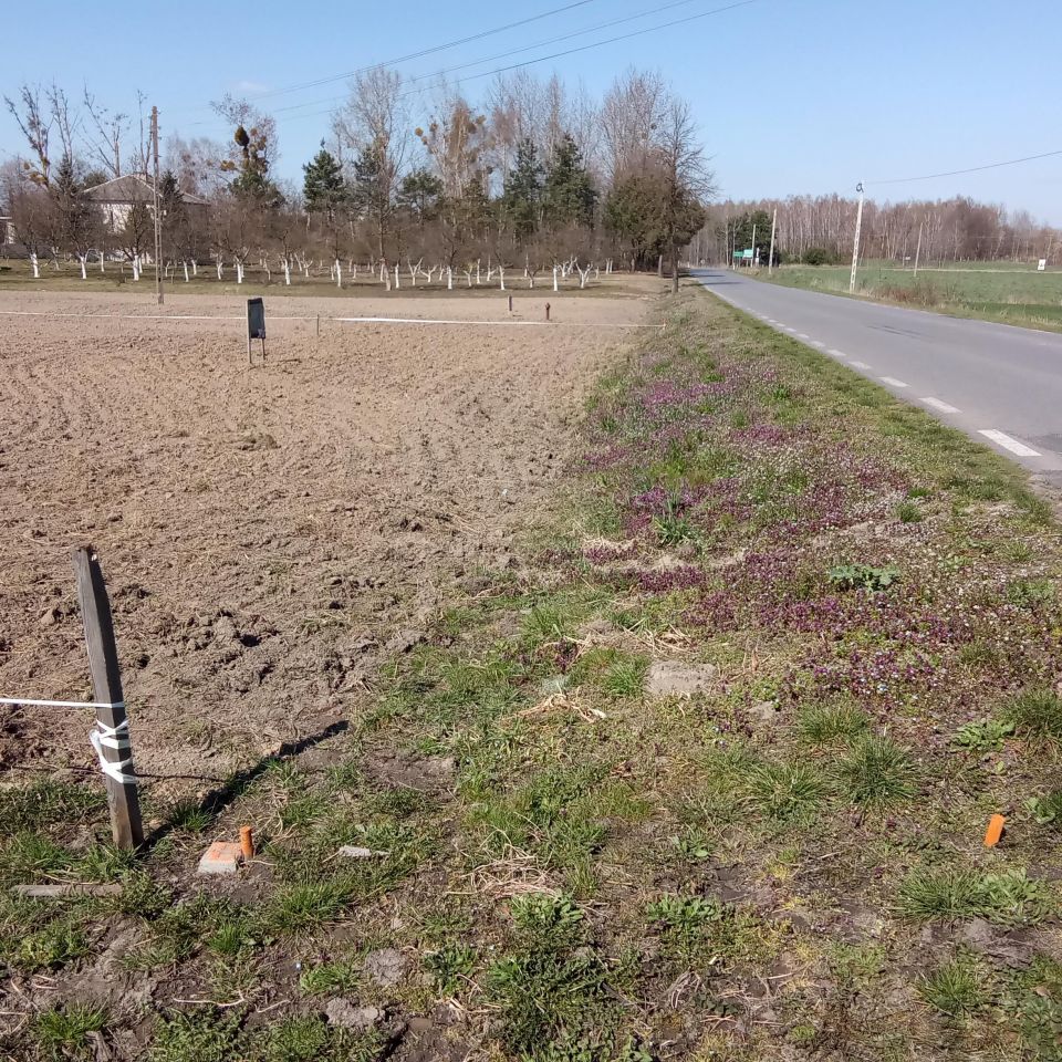 Działka budowlana Helenów. Zdjęcie 5