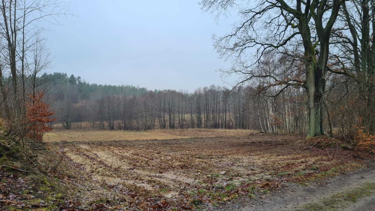 Działka rolno-budowlana Świeszyno. Zdjęcie 5