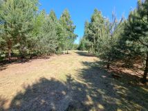 Działka budowlana Badulki Gęsia Niwa. Zdjęcie 3