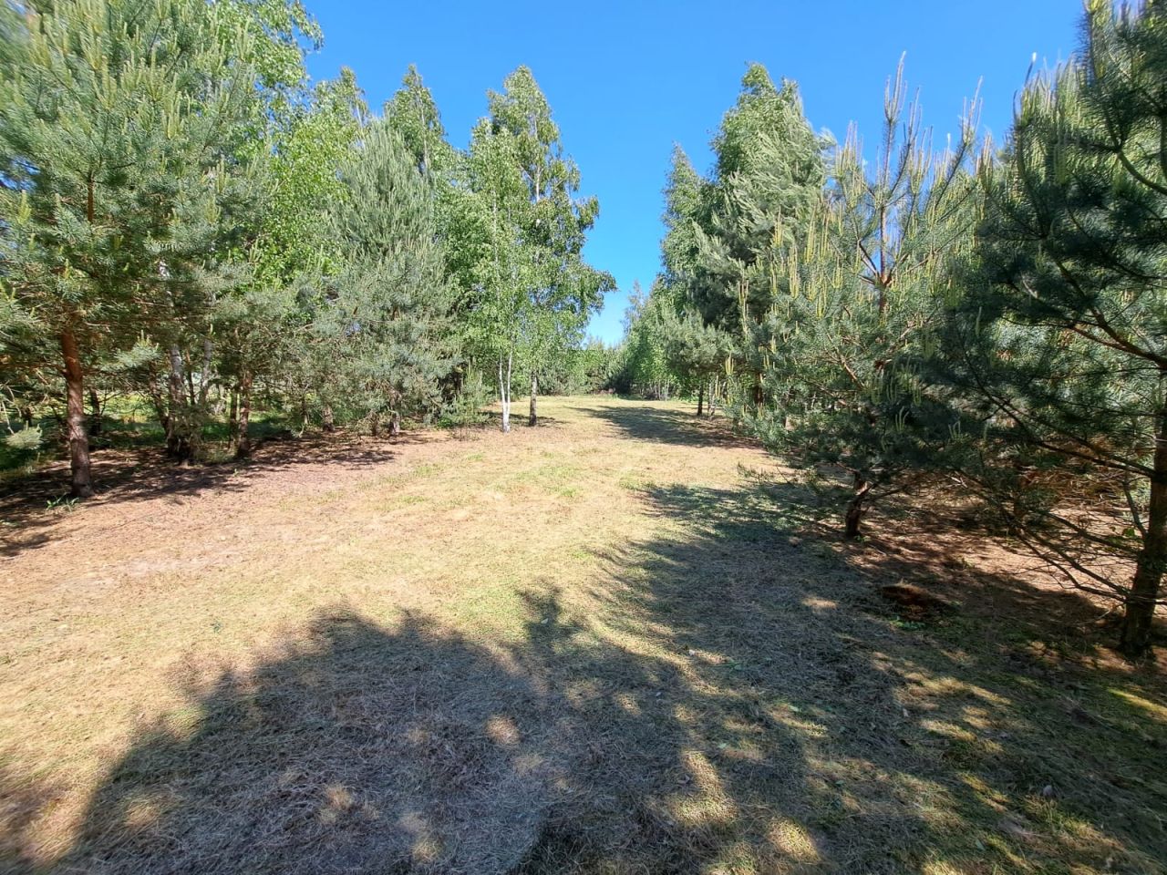 Działka budowlana Badulki Gęsia Niwa. Zdjęcie 4