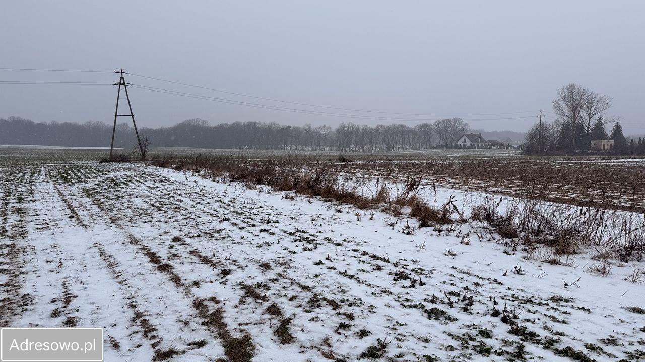 Działka budowlana Ostromecko. Zdjęcie 7