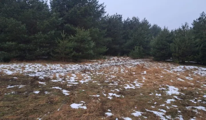 Działka rolno-budowlana Kochlew