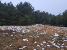 Działka rolno-budowlana Kochlew