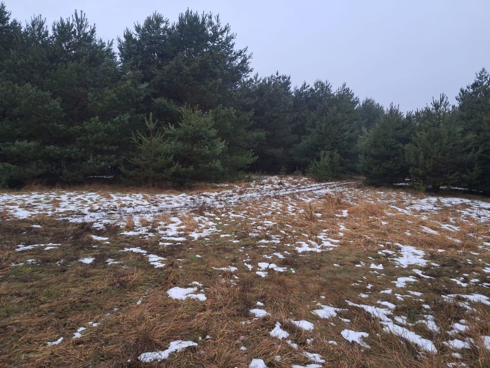 Działka rolno-budowlana Kochlew