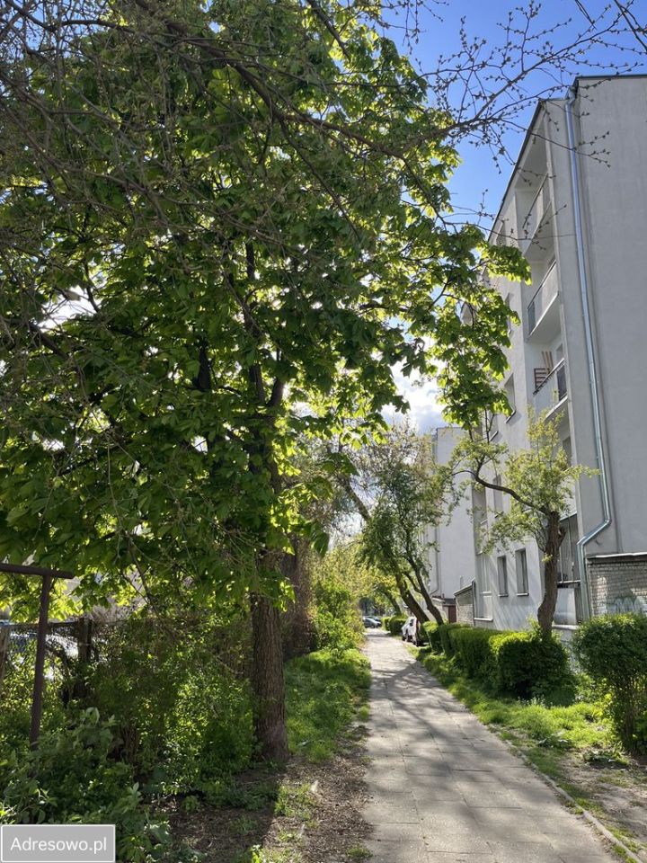 Mieszkanie 2-pokojowe Łódź Polesie, ul. Stefana Żeromskiego. Zdjęcie 12