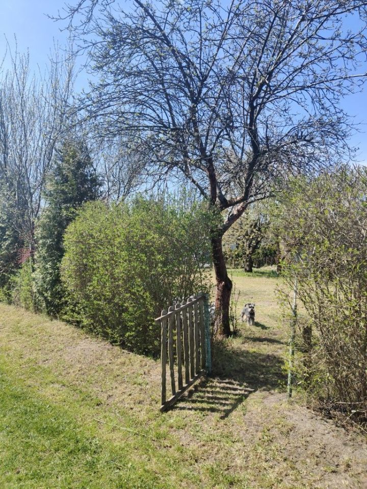 Działka rod Zawiercie. Zdjęcie 5