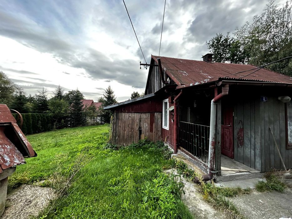 Zdjęcie 6