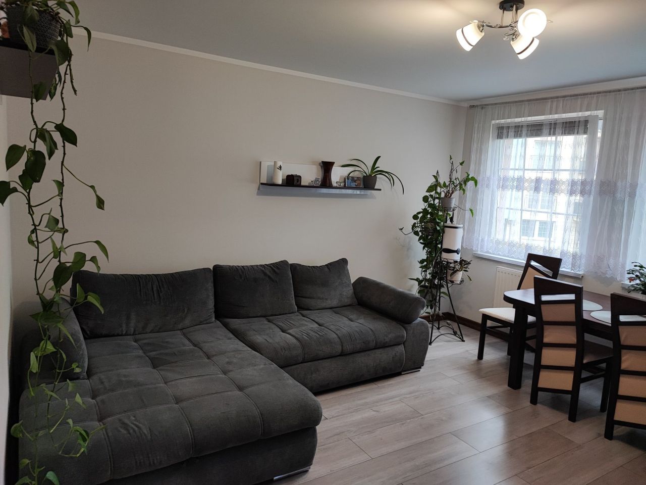 Mieszkanie 3-pokojowe Brzeg Dolny