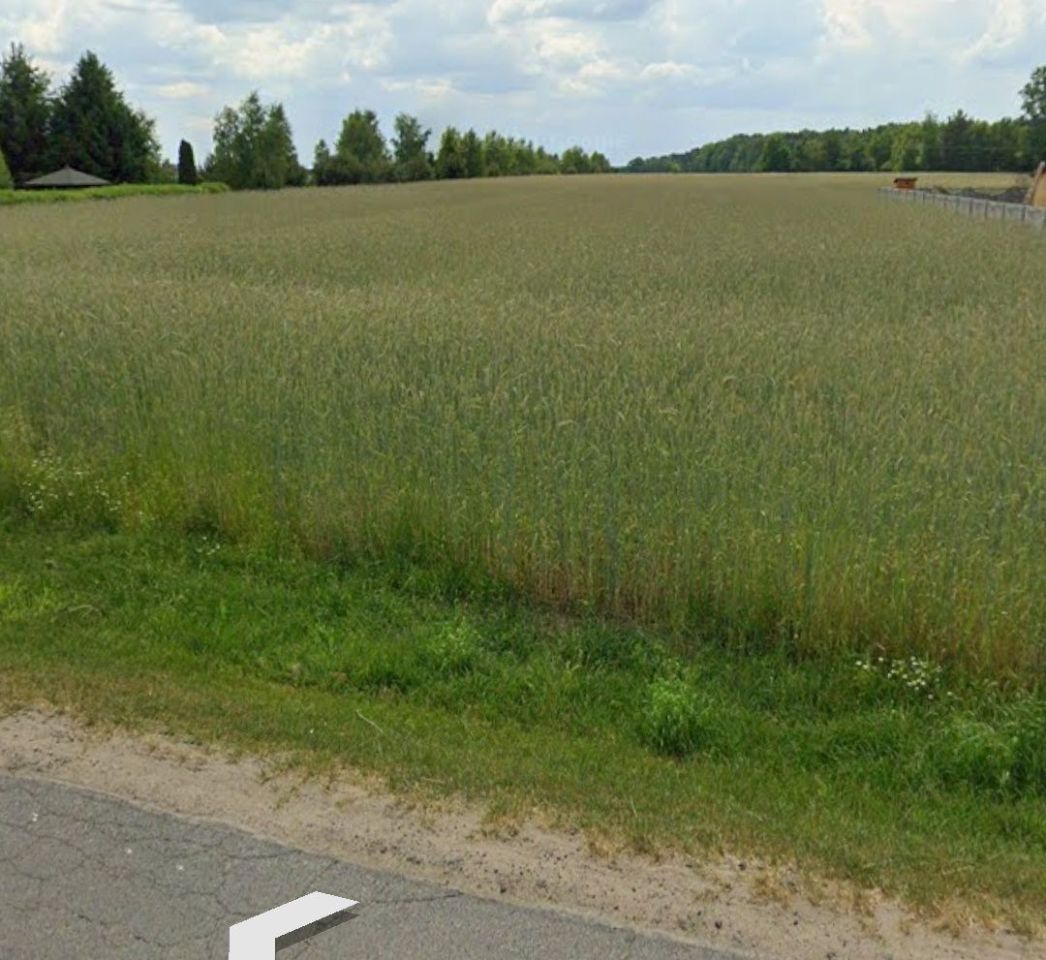 Działka budowlana Adamów. Zdjęcie 5