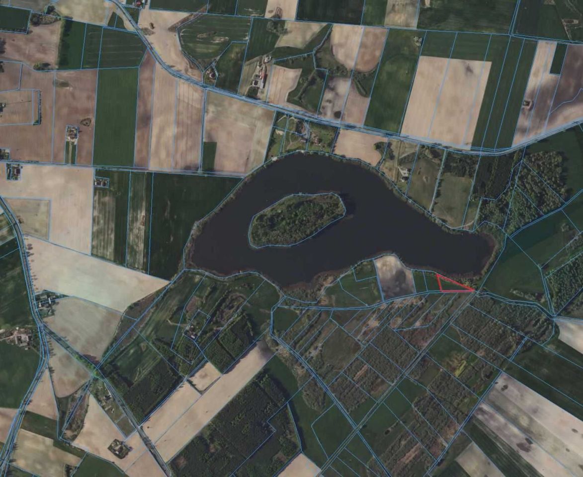 Działka rolna Orzechówko. Zdjęcie 3