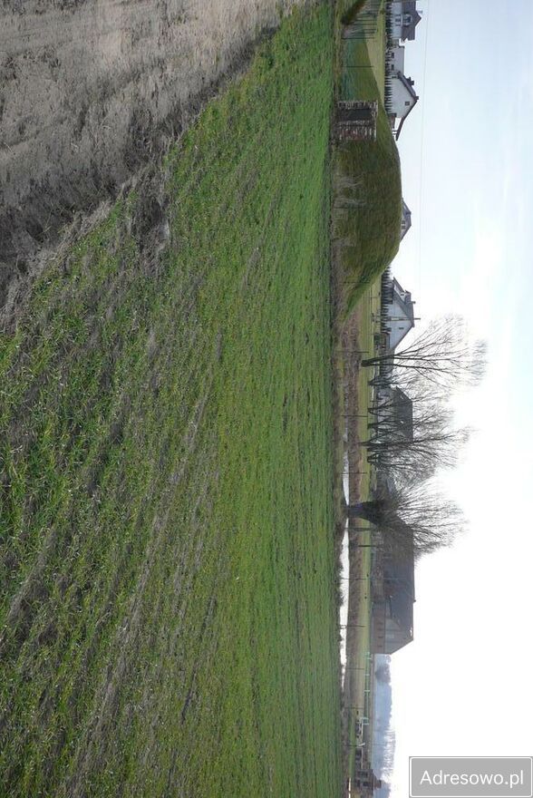 Działka budowlana Grzebienisko. Zdjęcie 3