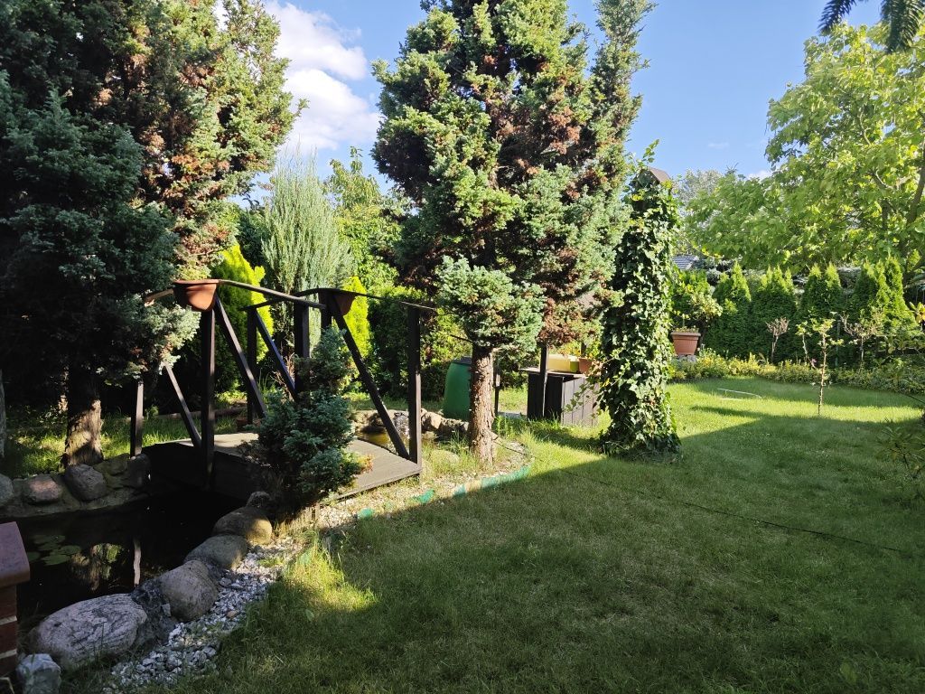 Działka rod Luboń, ul. Świerczewska. Zdjęcie 7