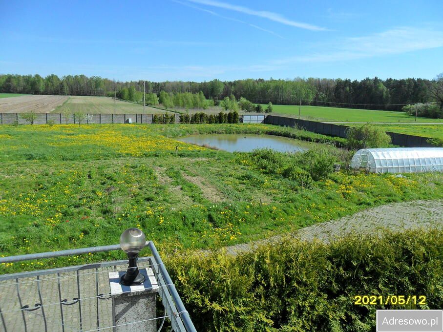 siedlisko, 5 pokoi Wyględówek. Zdjęcie 2