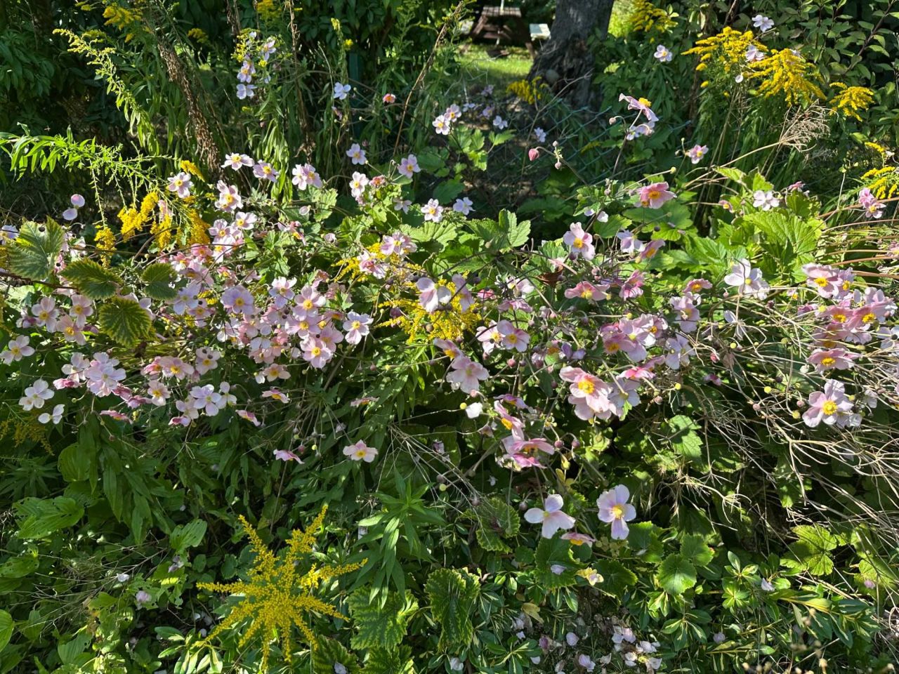 Działka rod Warszawa. Zdjęcie 7