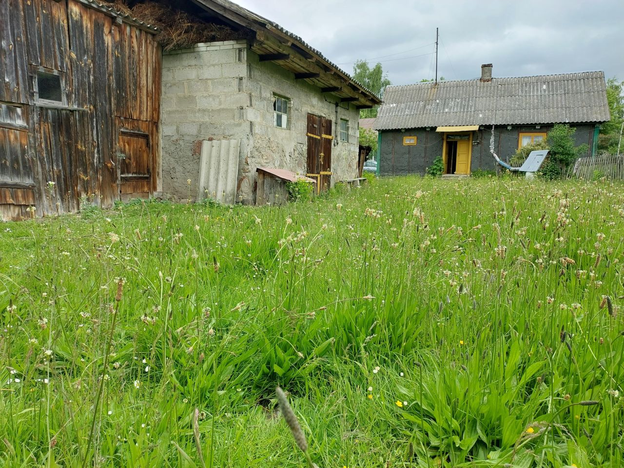 Działka rolno-budowlana Dębiny-Kolonia. Zdjęcie 12