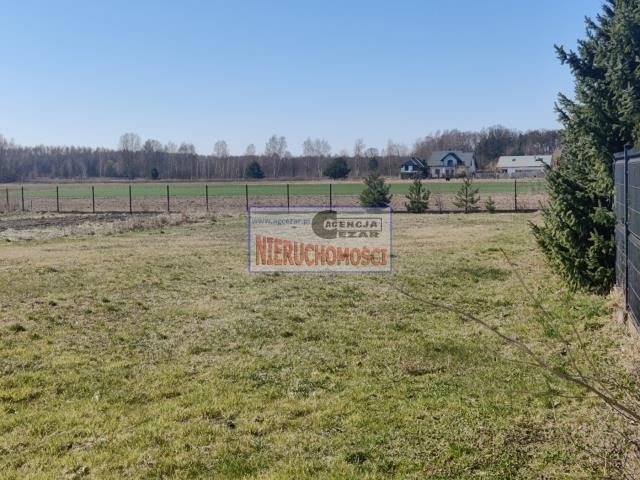 Działka budowlana Dziękowizna. Zdjęcie 3