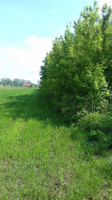 Działka inwestycyjna Zgorzała, ul. Postępu