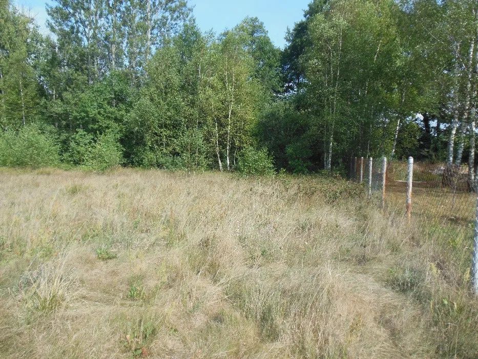 Działka budowlana Zabiełłów. Zdjęcie 4