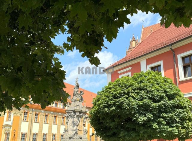 Mieszkanie 3-pokojowe Wrocław Śródmieście, ul. Katedralna. Zdjęcie 11