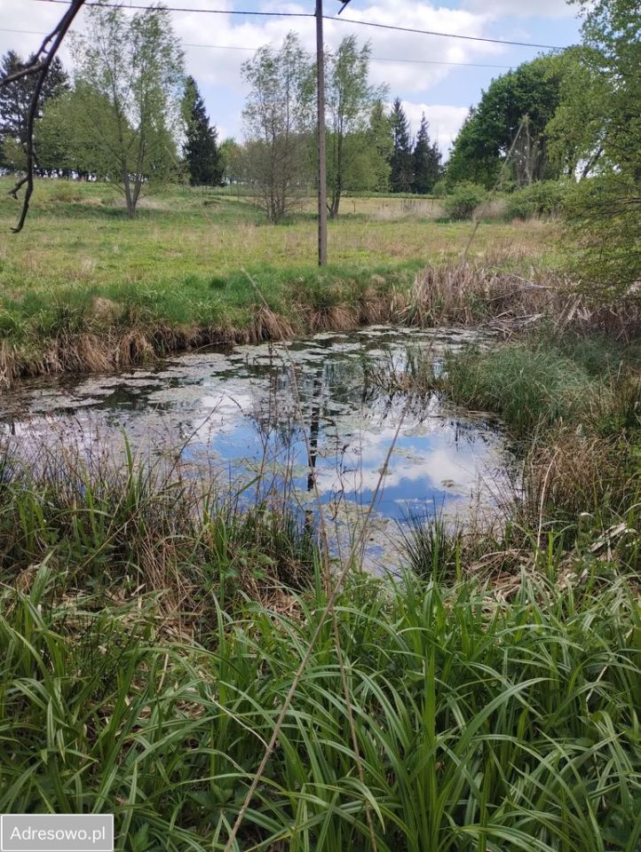 Działka budowlana Szczytna