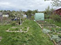 Działka rod Szczecinek, ul. Sienkiewicza. Zdjęcie 4