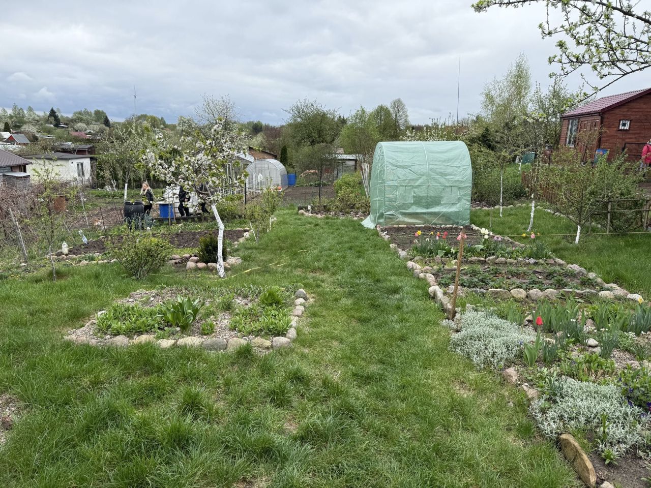 Działka rod Szczecinek, ul. Sienkiewicza. Zdjęcie 5